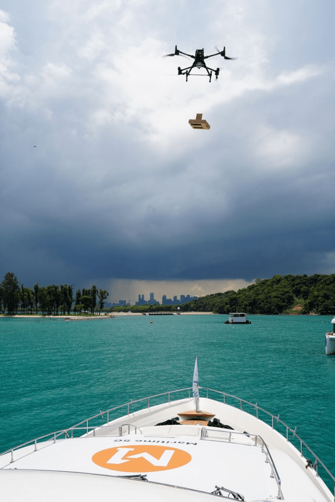 Drone delivery of medication to a vessel